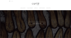 Desktop Screenshot of carite.pt