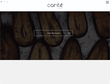 Tablet Screenshot of carite.pt